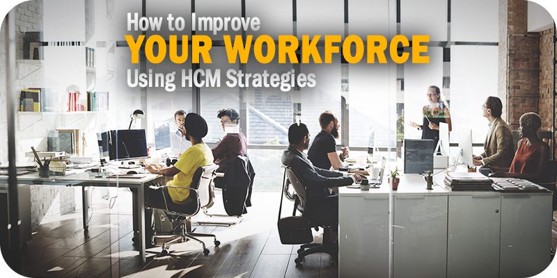 How to Improve Your Workforce Using HCM Strategies
